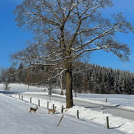 Jeseníky Apartamento Dolní Moravice